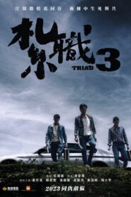 Triad 3